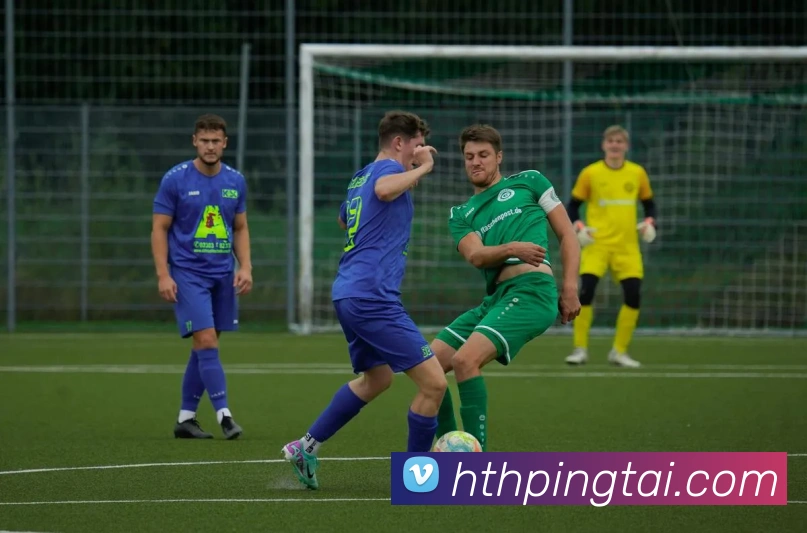 华体会体育平台生态图